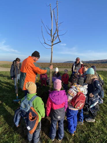 2026_03_04_08_32_36.jpeg 2026_03_04_08_32_36.jpeg