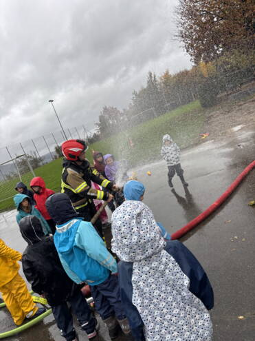 image00033_691c7d79b7261fe2c3eefd43.jpeg image00033_691c7d79b7261fe2c3eefd43.jpeg